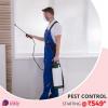 Photo for Pest control Services In Delhi
