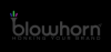 Photo for Blow Horn Media - Digital Marketing Agency
