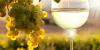 Photo for Skyline Wine Tours