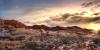 Photo for Red Rock Tour Travel Guide