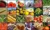 Photo for Global E-commerce of Agricultural Products Market 2019 | Manufacturers, Regions, Type And Application, Forecast To 2024