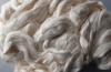 Photo for Global Cellulose Fibers Market Manufacturers Sales Analysis Report 2019-2024
