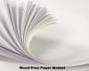 Photo for Global Wood-Free Paper Market: Huge Growth Opportunities, Trends and Forecast 2019 to 2023