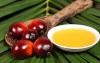 Photo for Palm Kernel Oil And Coconut Oil Based Natural Fatty Acids Market Report 2018-2025 By Top Players - OLEON NV, Pacific Oleochemicals Sdn Bhd, Philippine International Dev., Inc.
