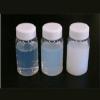 Photo for Global Polyurethane Dispersions (Pud) Market Trend, Marketing Channels, Major Industry Participants, Strategies  and Forecast To 2024