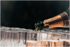 Photo for A Quick Guide to 6 of the Most Popular Sparkling Wines