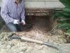 Photo for Basement and Crawlspace Foundation Repair