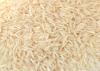 Photo for Get to cooking with 1121 steam basmati rice