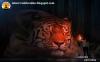 Photo for Animation Institute in Dehradun