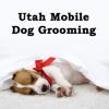 Photo for Utah Mobile Dog Grooming