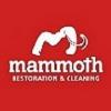 Photo for Mammoth Restoration & Cleaning
