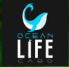 Photo for Ocean Life Cabo