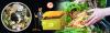 Photo for Food Waste Management Market: 2019-2025 Key Industry Insights, Segments, Opportunities, and Forecasts