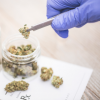 Photo for Cannabis Testing Market 2018-2026 by Segmentation: Based on Product, Application and Region