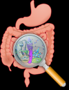 Photo for Gastrointestinal Therapeutics Market Size, Share, Growth, Trends and Forecast Report, 2018 to 2025