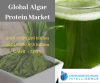 Photo for Global Algae Protein Market Research Report and Analysis