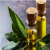 Photo for Global Bay Leaf Oil Market Manufacturers Sales Analysis Report 2019-2024
