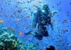 Photo for Global Marine Tourism Market Manufacturers Sales Analysis Report 2019-2024