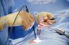 Photo for Global Minimally Invasive Surgical Instruments Market Manufacturers Sales Analysis Report 2019-2024