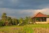 Photo for Yoga Teacher Training retreat in Bali - Inner Yoga Training