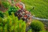 Photo for San Antonio Landscaping, Tree & Lawn