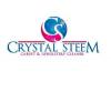 Photo for Crystal Steem Carpet Cleaner