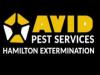 Photo for cockroach extermination Hamilton