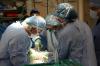 Photo for Transplantation Market Size, Share, Growth, Trends and Industry Analysis Report