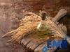 Photo for Global Rice Bran Oil Market is Expected to Reach 2 Million Tons by 2024