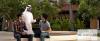 Photo for Apply top university for masters programs in UAE