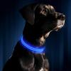 Photo for Top Dog Accessories 2019 : Top Trending Dog Gear ( Guides & Reviews)