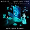 Photo for The Secure Blockchain Assets Payment Gateway!