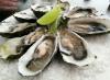 Photo for Global Calcium Carbonate from Oyster Shell Market 2019 | Manufacturers, Regions, Type And Application, Forecast To 2024