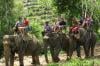 Photo for Best Kerala Tour Packages for Family