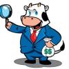 Photo for SEO Cow