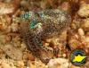 Photo for Top Diving Spots You Have To Explore In Bali