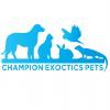 Photo for Champion Exoctis Pets