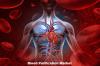 Photo for Blood Purification Market Analysis 2019 Top Growing Companies: Smiths Medical, B. Braun Melsungen, Nipro