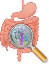 Photo for Comprehensive Digestive Stool Analysis Test At EBL Naturopathic Clinic