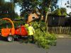 Photo for Your Local Qualified Tree Surgeons in Bournemouth
