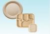 Photo for Bagasse Tableware Products Market Growing at a CAGR of 6 % through 2027 | FMI Report