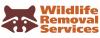 Photo for Wildlife Removal Services