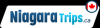 Photo for Niagara Trips - Toronto to Niagara Falls Trips