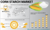 Photo for Corn Starch Market Growth, Industry Trends, Key Players Analysis by 2026