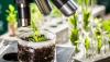 Photo for Global Biopesticide Market 2019 | Manufacturers, Regions, Type And Application, Forecast To 2024