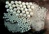 Photo for Global Nano-Zirconia Market 2019 | Manufacturers, Regions, Type And Application, Forecast To 2024