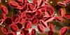 Photo for Global Erythropoietin Market Manufacturers Sales Analysis Report 2019-2024