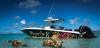 Photo for Exuma Swimming Pigs from Nassau - Piecesof8charters