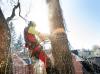 Photo for Choose the Qualified Arborist Adelaide