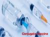 Photo for Dynamic Landscape of the Global Conjugate Vaccines Market Outlook: Ken Research